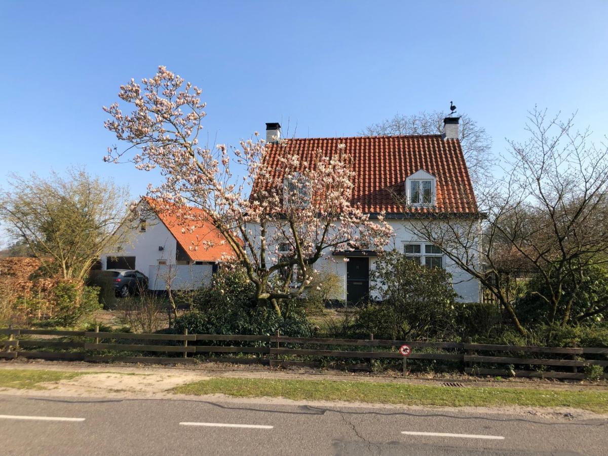 Horse And Hound Bed and Breakfast Riethoven Exteriör bild