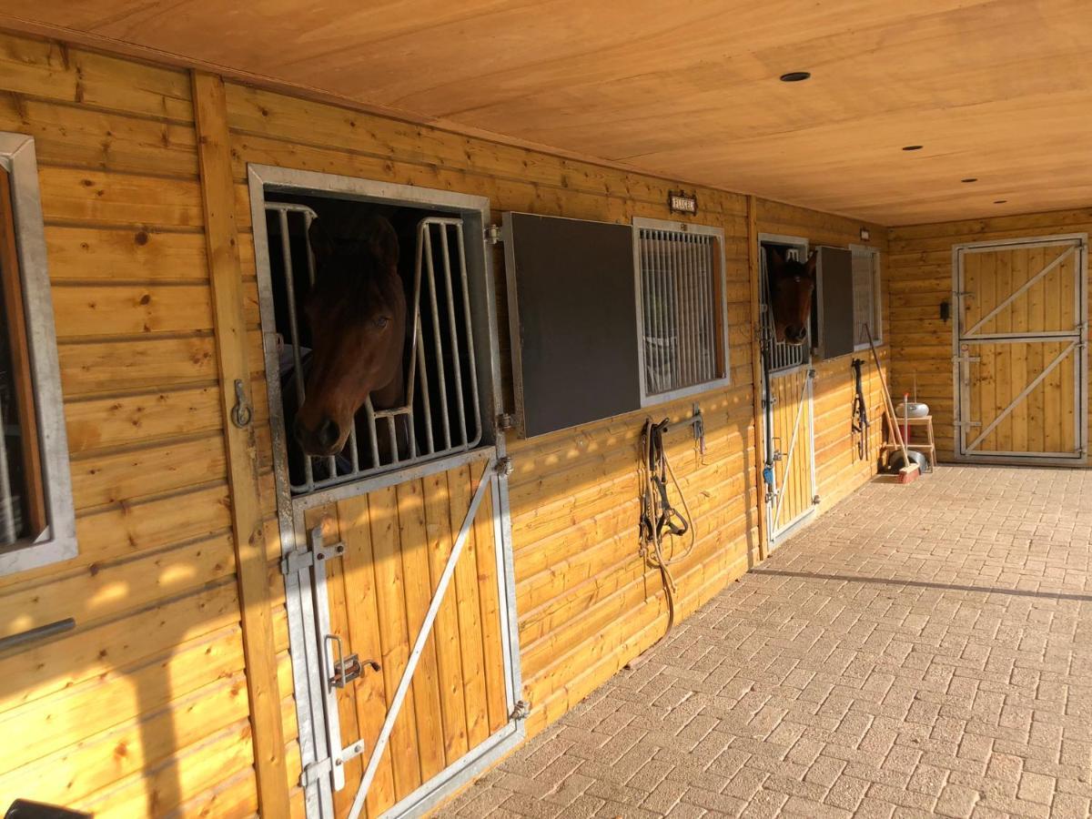 Horse And Hound Bed and Breakfast Riethoven Exteriör bild