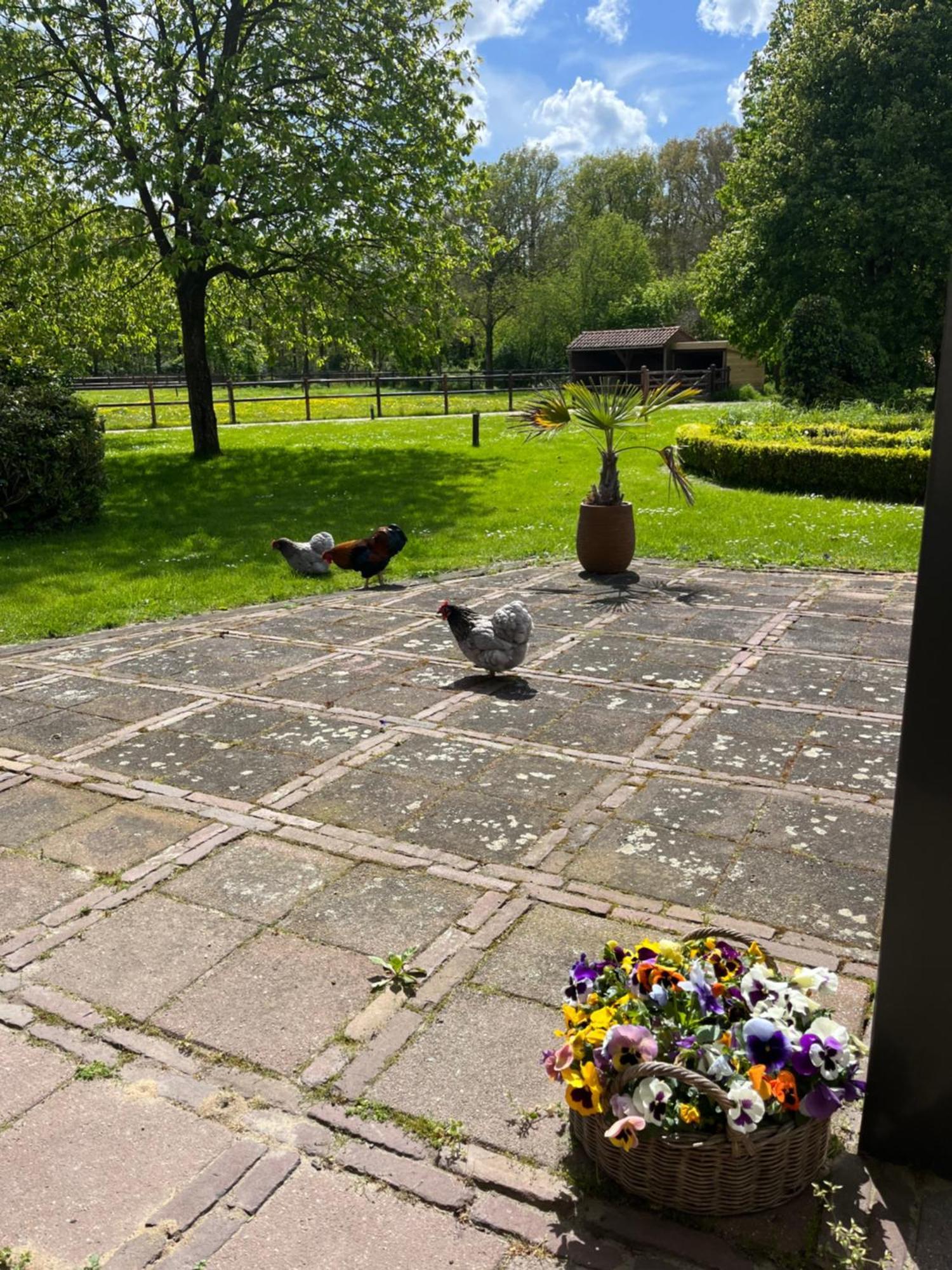 Horse And Hound Bed and Breakfast Riethoven Exteriör bild
